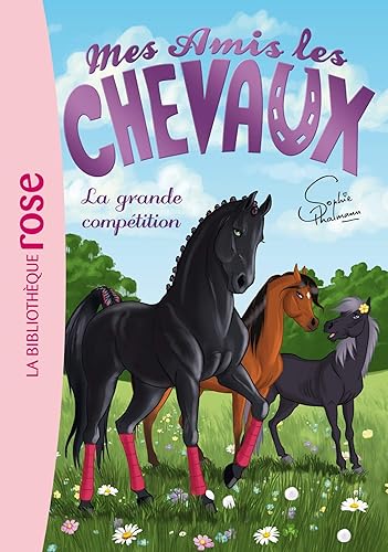 Download Mes amis les chevaux, tome 2 : La grande compétition PDF