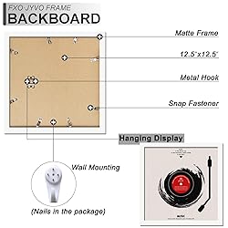 Fxojyvo Vinyl Record Frame for the Wall Display