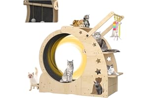 QIFEILA Cat Wheel for Indoor Cats, Cat Exercise Running Wheel with Cat Teaser/Cat House/Cat Bowls and Cat Trees, Cat Treadmill Wheel with Gripping Pads, TPE Silent and Noiseless Rollers Cat Smooth Run Freely