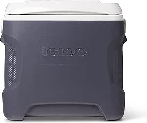 Igloo 28 Quart Iceless Thermoelectric 12 Volt Portable Ice Chest Beverage Cooler, Silver