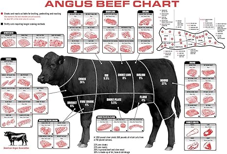 Daaint Baby Beef Cuts Of Meat Butcher Chart Poster 40 X 24 Inches 21 X 13 Inches Amazon De Kuche Haushalt