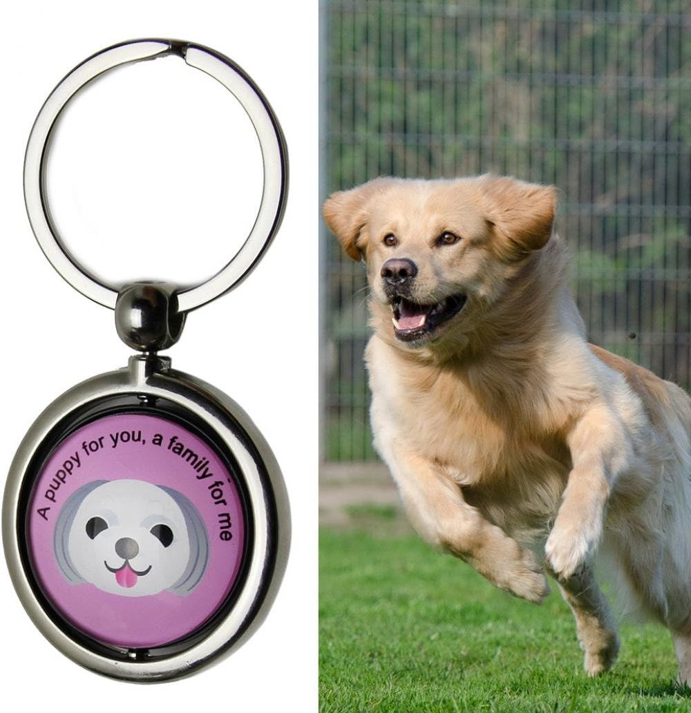 Pet Dog Anti Lost Round Pendant Keychain ID Tag QR Code Tracker Wireless Locator