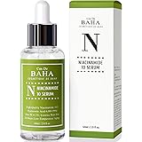 Niacinamide 10% + Zinc PCA 1% Serum for Face - Pore Reducer + Uneven Skin Tone Treatment + Diminishes Acne Prone, Skin Balanc