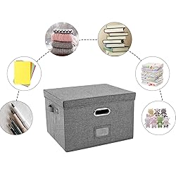 JSungo 2 Pack File Box with 10 Hanging Filing