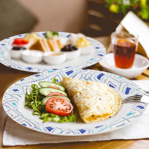 LAMOSI 10 INCH DISPOSABLE PAPER PLATES 140 PACK, PRINTED LARGE PAPER PLATES SOAK AND CUT PROOF FOR PICNIC, PARTY AND DAILY USE