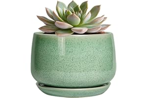 G EPGardening Ceramic Pots for Plants - 6 Inch Plant Pot with Drainage Hole and Saucer, Modern Ceramic Planter for Indoor Outdoor, Round Flower Planter, Gifts for Plants Lovers, Home Decor, Green