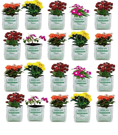 VITARA [ 18 Bags ] UV Treated Poly Grow Bags for Terrace Garden Vegetable , Plants and More(White Outside, Black Inside - 18 Bags) (30*16*16) [ SMALL SIZE ]