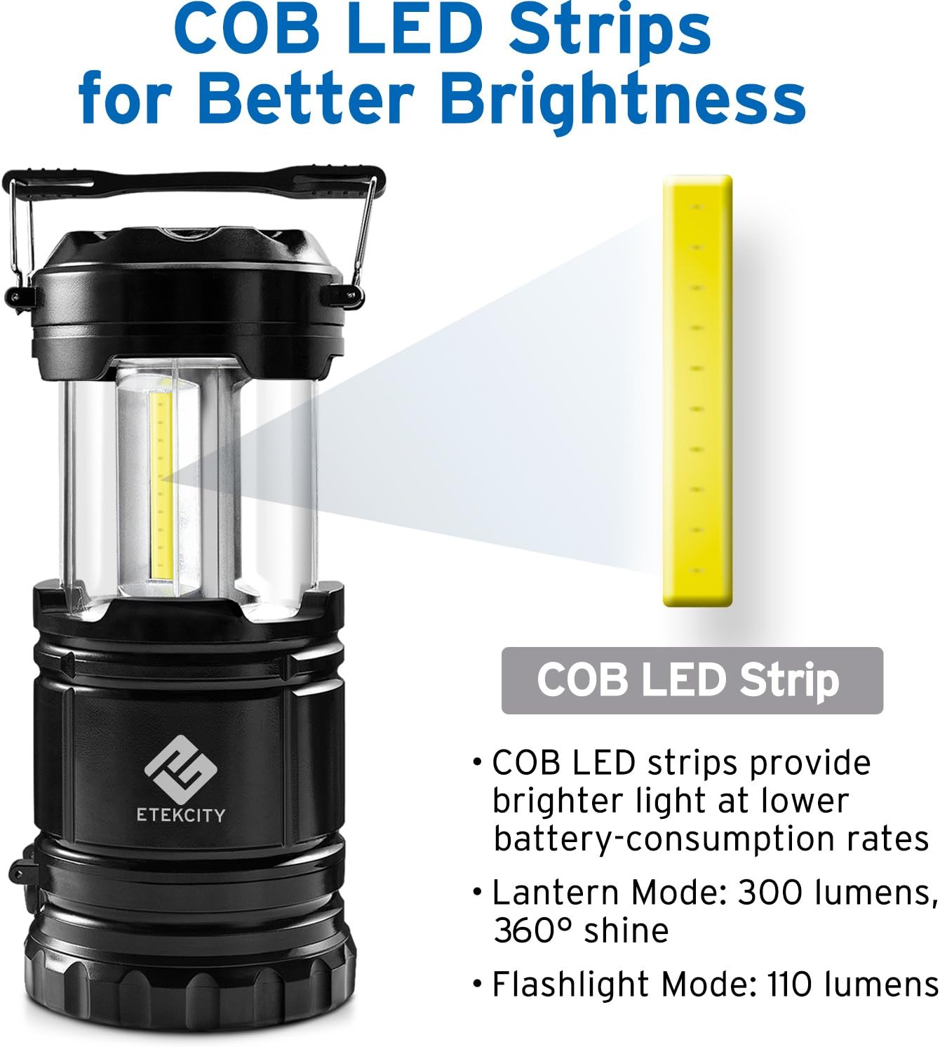 Etekcity 2 Pack LED Camping Lantern Battery Powered Flashlights Portable 2-in-1 Collapsible Lantern Lights, Survival Light for Hiking, Fishing, Reading, Hurricane, Storms, Power Outage: Sports & Outdoors