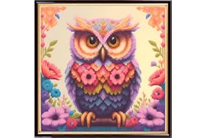 Redxing Stamped Cross Stitch Kits Embroidery kit for Beginners Adults Full Range of Embroidery Patterns Starter Kits DIY Printed Cross Stitch Kits Needlepoint Kits 11CT-Colorful Owl 17.7x17.7 inch