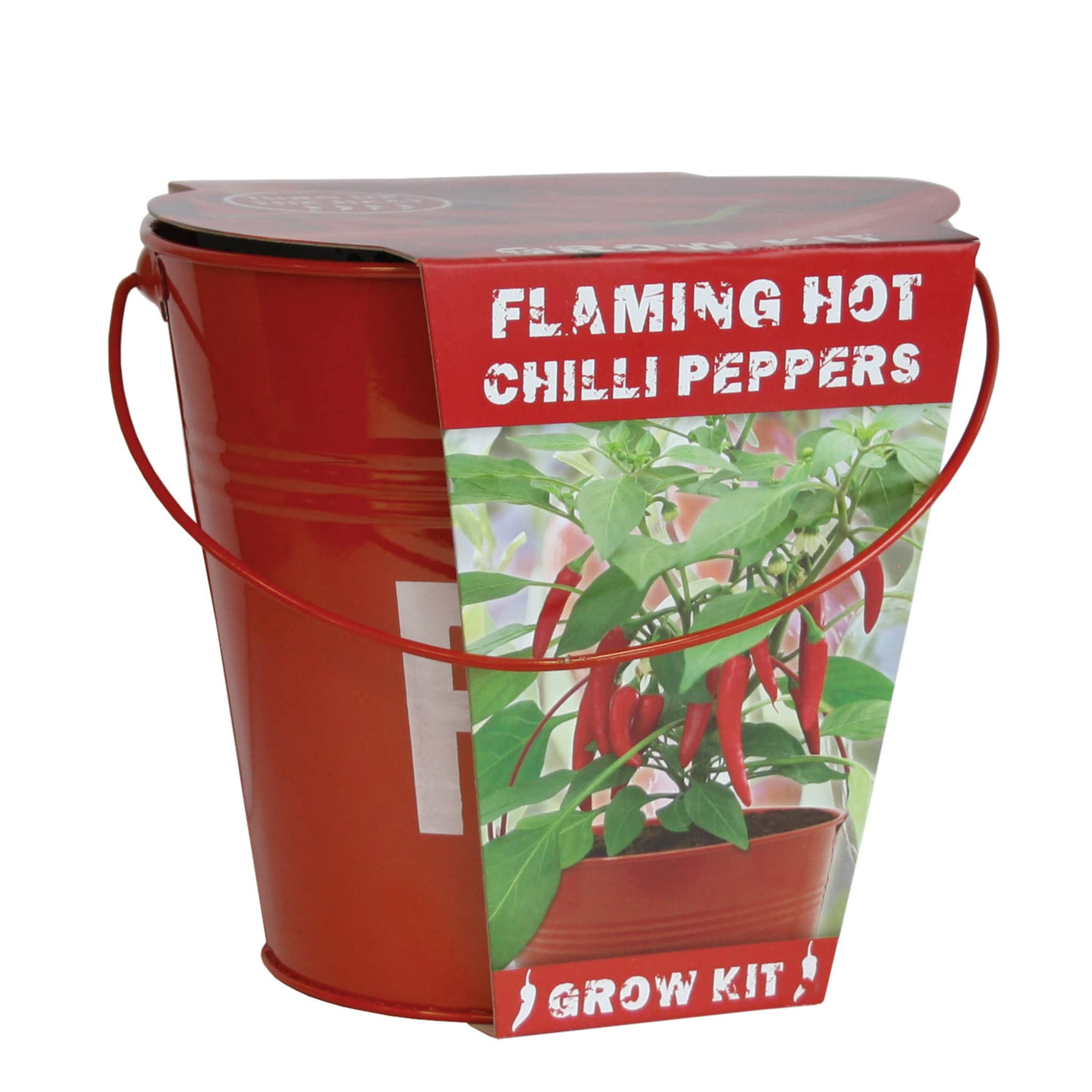 Indoor Flavours Chilli Fire Bucket Growing Kit Grow Chilli's from Seed
