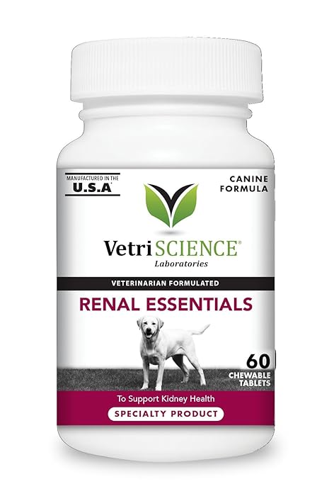 Top 8 Renal Kidney Food