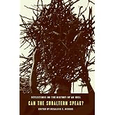 Can the Subaltern Speak?: Reflections on the History of an Idea