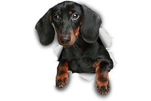 Winston & Bear 3D Dog Stickers - 2 Pack - Black Dachshund Sausage Dog Decals for Wall, Fridge, Toilet and More - Black and Brown Dachshund Decor - Retail Packaged Dachshund Stickers