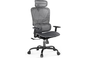 NOBLEWELL Ergonomic Mesh Office Chair with Flexible Adjustment Lumbar Support, High Back Desk Computer Chair with 2D Wide Headrest, Armrests, 130° Rocking Tilt, Home Office Chair for Long Hours, Grey