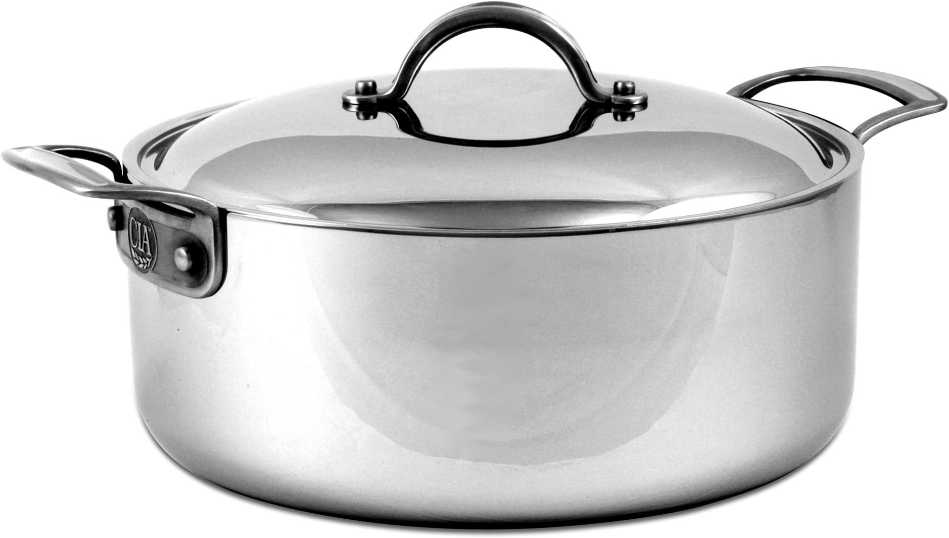 Culinary Institute of America Masters Collection 6-Quart Rondeau Pan with Cover