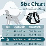 rabbitgoo Dog Harness Large No-Pull Reflective Adjustable Vest with 2 Leash view 2
