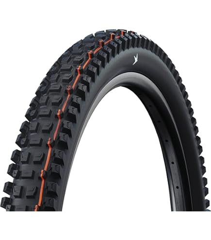 ノリピー Amazon.com : Schwalbe Nobby Nic Tire - 29 x 2.4, Tubeless, Folding