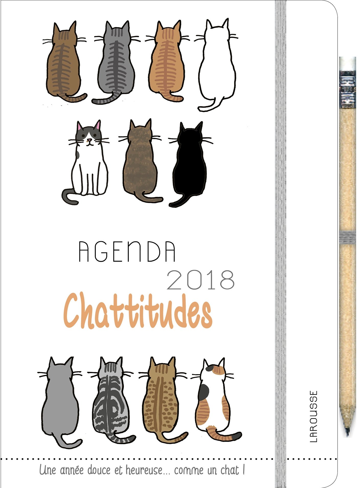 Agenda Chattitudes 18 Avec Un Crayon Calendriers Koizumi Sayo Jeuge Maynart Isabelle Amazon Es Libros