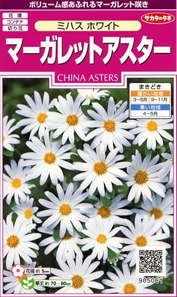 Amazon サカタのタネ 実咲花5061 マーガレット アスター ミハス ホワイト 花 Amazon サカタのタネ 実咲花5061 マーガレット アスター ミハス ホワイト 花