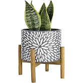 LA JOLIE MUSE Ceramic Planter for Plant, 8 Inch Indoor Planter with Stand | Decorative Planter Pot with Drainage Hole for Ind