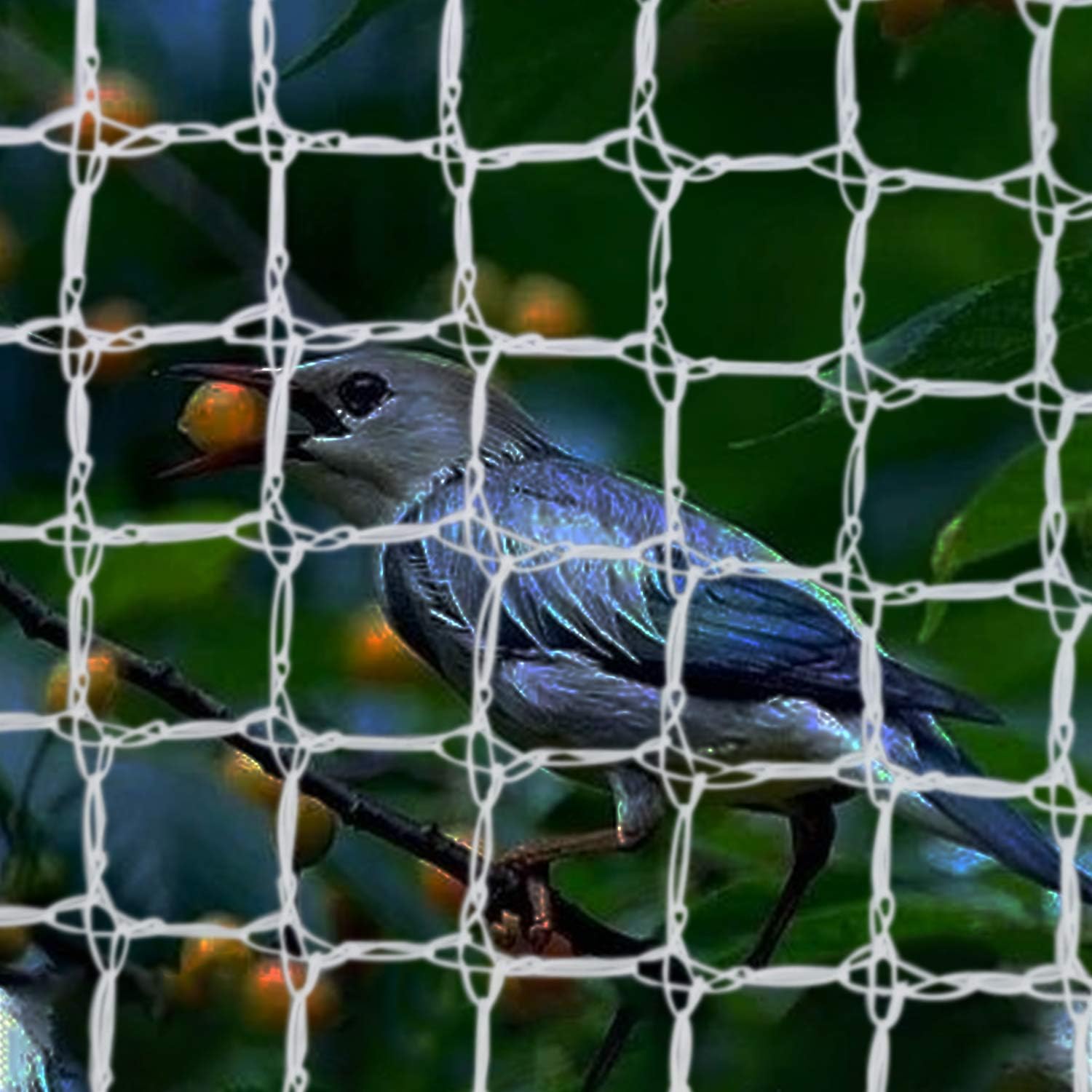 CUIS Bird Netting for Trees, Reusable White Anti Birds Animals Garden Net Plant Protection Square Mesh for Blueberry Poultry Vegetables Fruit Trees (33ft×33ft)