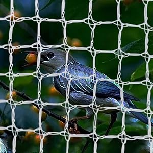 CUIS Bird Netting for Trees, Reusable White Anti Birds Animals Garden Net Plant Protection Square Mesh for Blueberry Poultry Vegetables Fruit Trees (33ft×33ft)