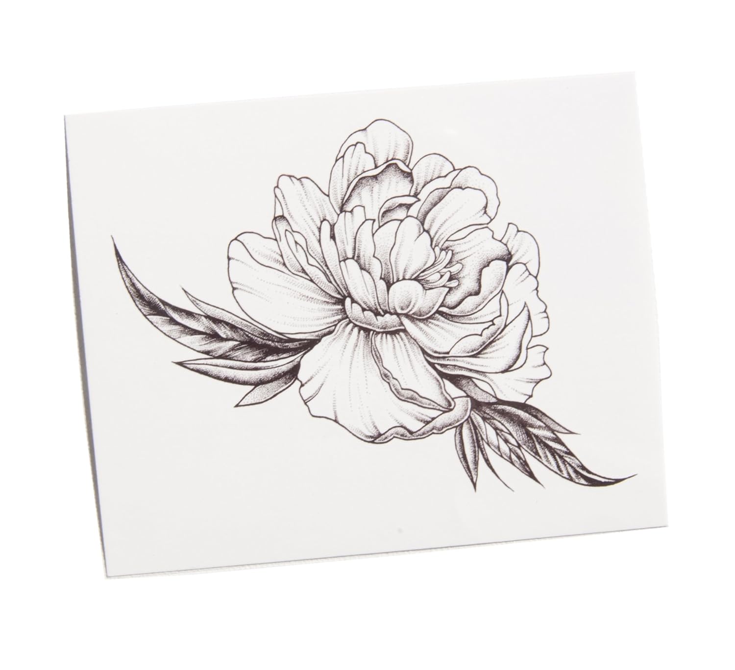 TattooYou Peony & Leaves Temporary Tattoo for Women - Finest Quality Temporary Peony Tattoo with Leaves - Hand Drawn Design by Anastasiya Pakhanova - 5 by 4 Inches