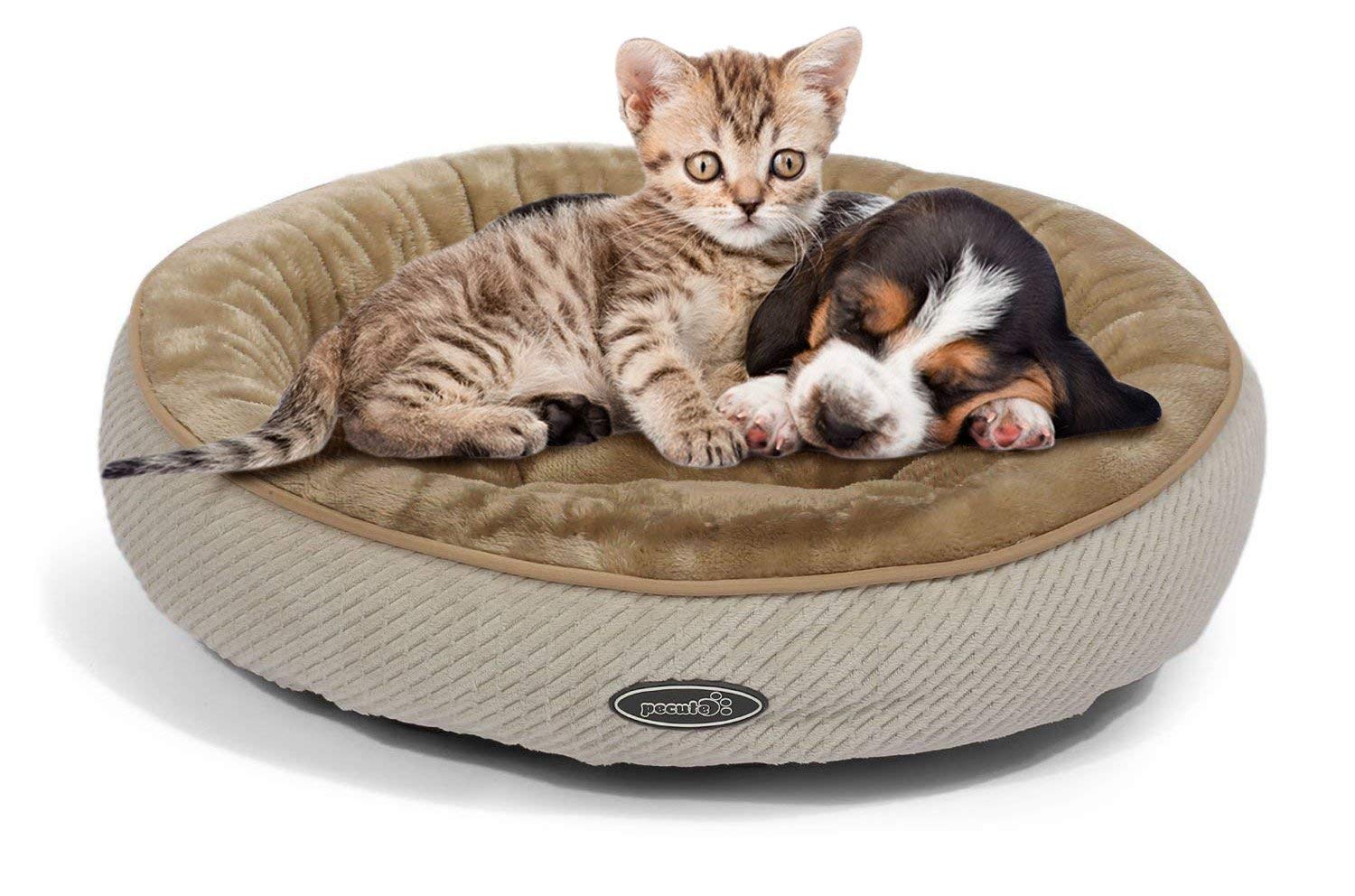 Pecute Cat Bed for Cats and Puppies Oval (50cm)- Machine Washable Plush Padded Soft Comfy (Beige)