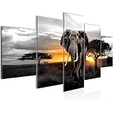 Tableau Sur Toile Visario – Girafe D’Afrique – 120x80 Cm – Décoration Murale XXL