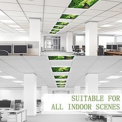 SCWISOAS Fluorescent Light Covers for Ceiling