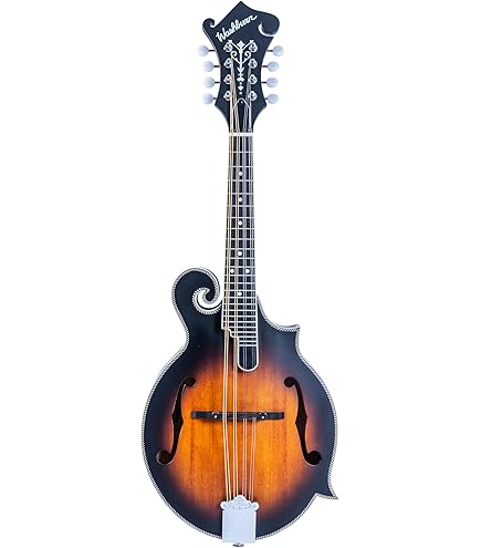 Amazon.com: The Loar LM-310F-BRB Honey Creek F-Style Mandolin