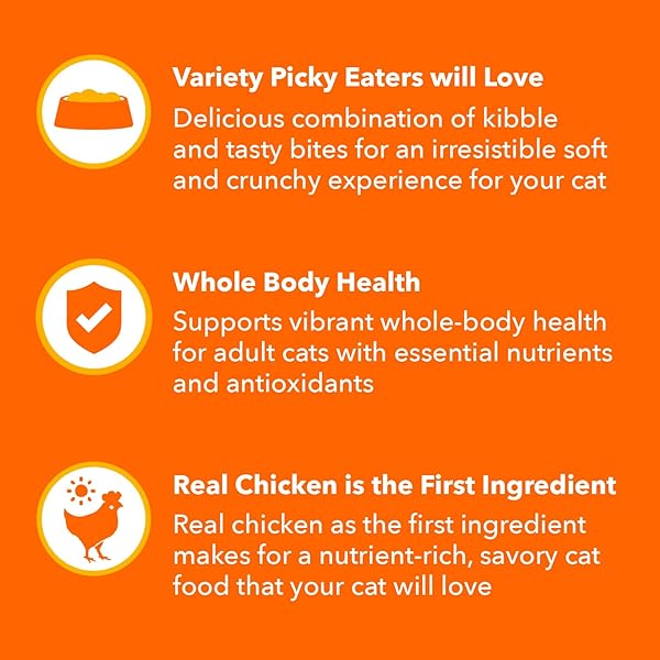 IAMS HEALTHY ENJOYMENT DRY CAT FOOD CHICKEN & SALMON RECIPE, 3 LB. BAG