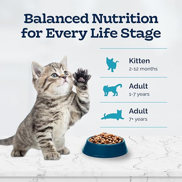 BLUE BUFFALO TASTEFULS KITTEN FOOD WITH DHA DRY CAT FOOD MADE IN THE USA WITH NATURAL INGREDIENTS, CHICKEN RECIPE, 7-LB. BAG