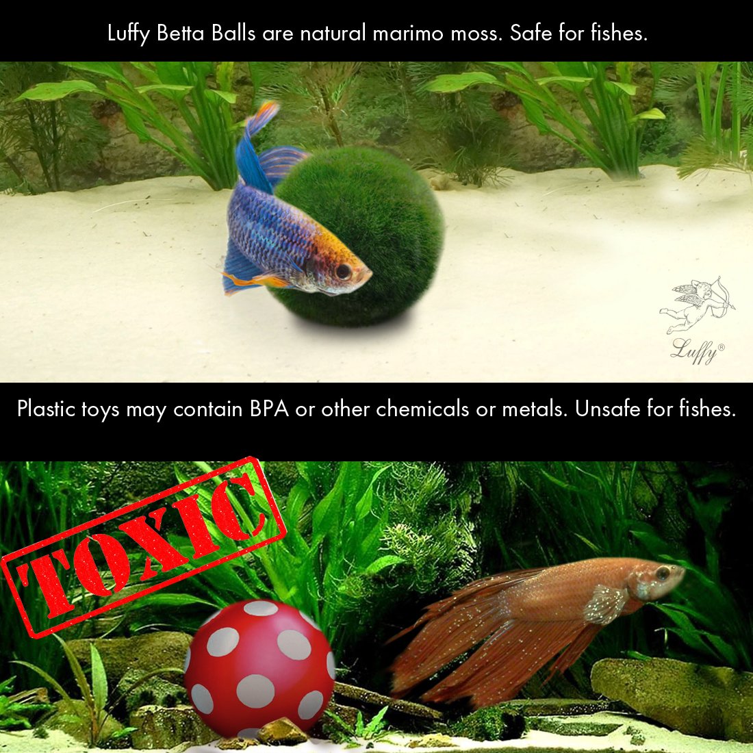 Luffy Betta Balls Live RoundShaped Marimo Plant Natural Toys for