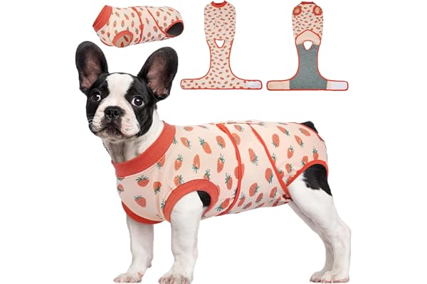 Kuoser Dog Recovery Suit Female, Soft Puppy Surgery Suit, Dog Recovery Suit After Surgery, Post-Op Onesie for Female & Male D