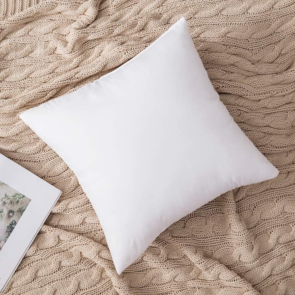 MIULEE Set of 2 Throw Pillow Inserts Hypoallergenic Premium Pillow Stuffer Square Form for Decorative Cushion Bed Couch Sofa 18x18 Inch: Home & Kitchen