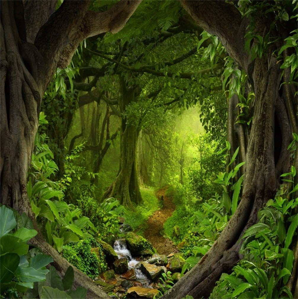 pix Fantasy Magic Photoshoot csfoto 8x8ft background for magic forest mist woods enchanted brook photography backdrop fantasy mysterious grassland fairy tale childhood photo