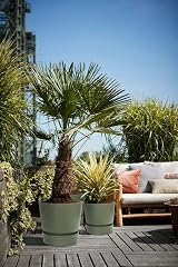 elho Greenville Round 40 Large Plant Pot with Integrated Water Reservoir view 8
