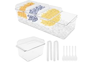 Ice Chilled Condiment Caddy with 4 Containers, Transparent Condiment Server with Separate Lids for Bar Accessories Fruit Sala