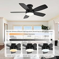 JSAITEE Ceiling Fans with Lights, 42 Inch Low