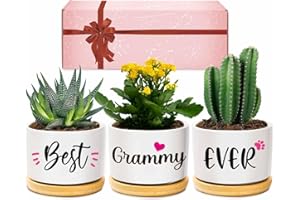 AceThrills Grammy Gifts for Birthday, for Grammy from Grandkids, Unique Present on Thanksgiving Christmas - 3 Pcs 3.15" Succulent Pots with Bamboo Tray