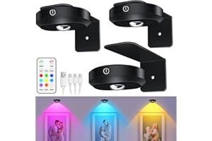 WILLED RGB Picture Lights, 1200mAh Rechargeable Puck Lights with Remote, Dimmable Tap Lights, Art Display Lights for Painting