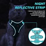 Grantop Cat Harness and Lead Set Adjustable Reflective Lake Blue M view 5