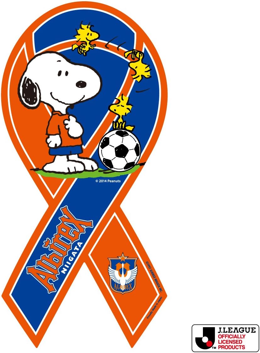 スヌーピー コラボ 14 ディズニー チケット キャラクター 選べる