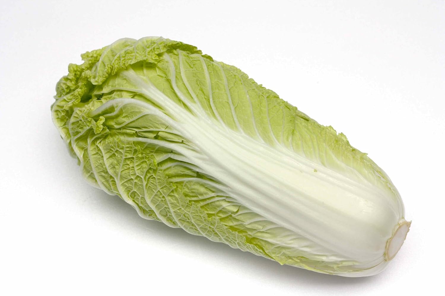 Brassière laine bébé bio Clearance