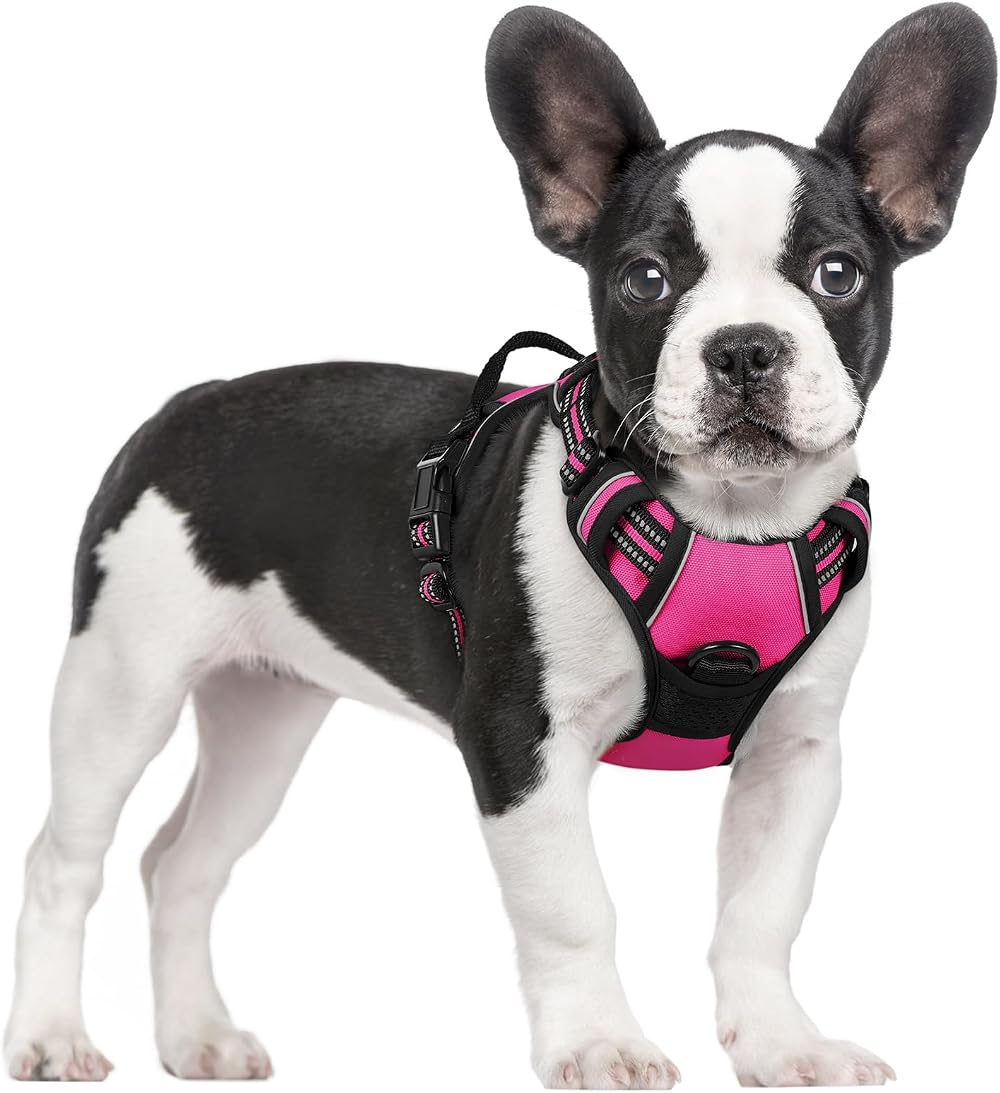 rabbitgoo Small Dog Harness No Pull Reflective Rose Red Easy Control Handle