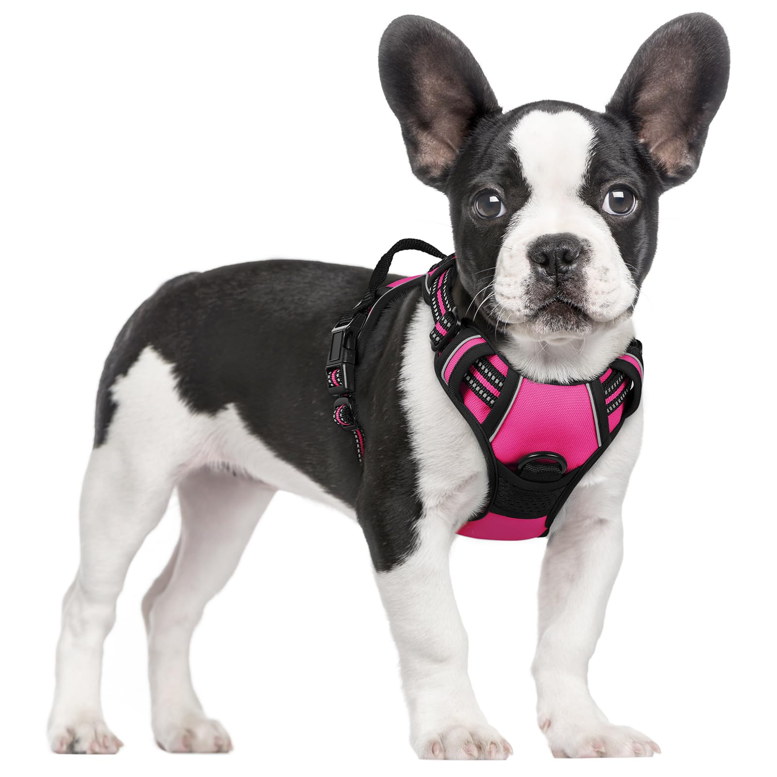 Photo 1 of rabbitgoo Dog Harness No Pull with 2 Leash Clips, Adjustable Soft Padded, Reflective Oxford No Choke Pet Vest with Easy Control Handle for Large Dogs, Hot Pink, S