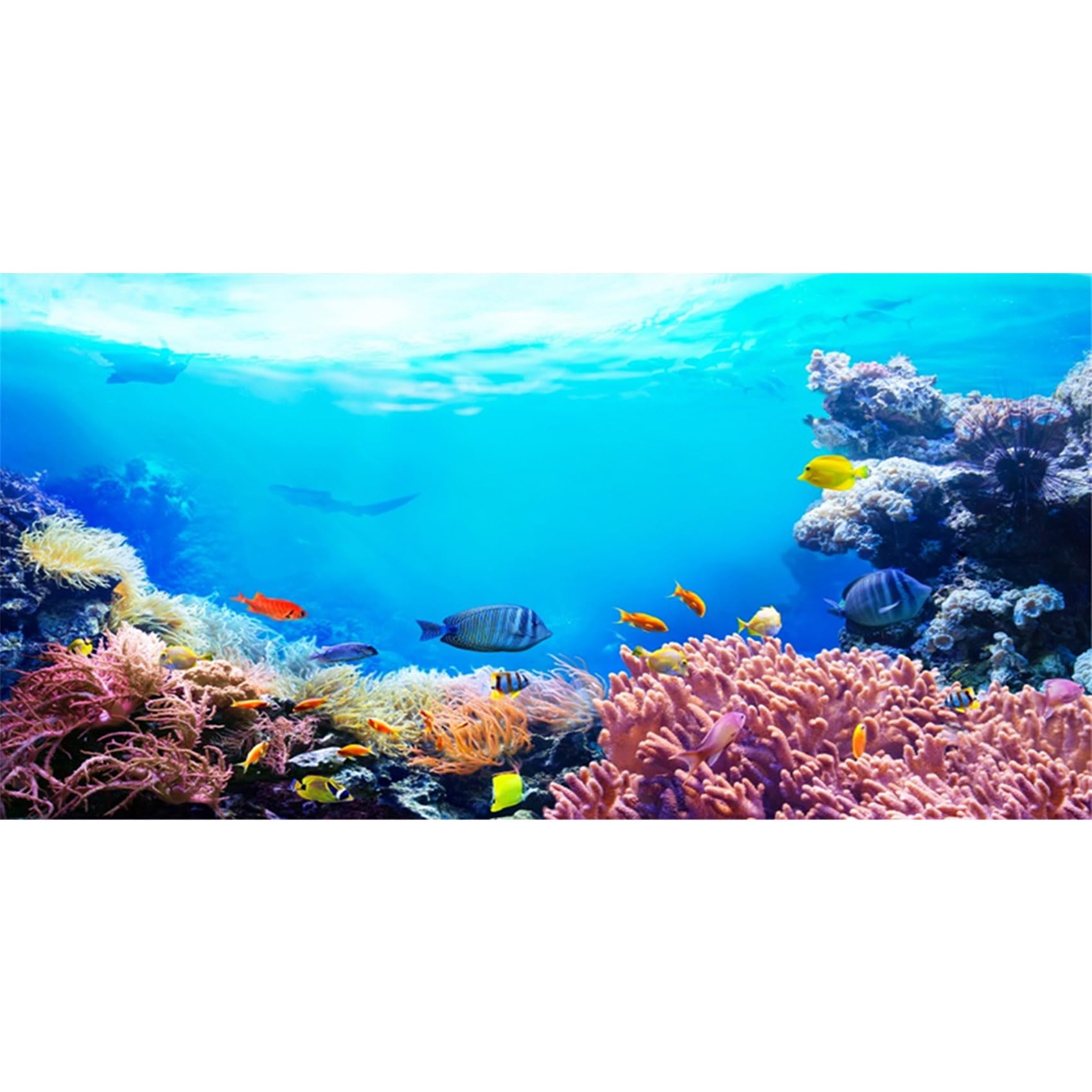 MIRRORANG 76x46cm Underwater Aquarium Background Colorful Coral Tropical Fish Undersea World Fish Tank Background Durable Vinyl Background