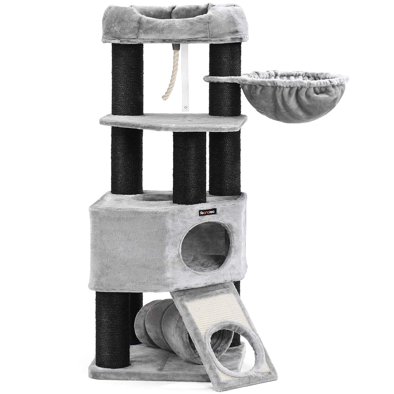 black cat condo