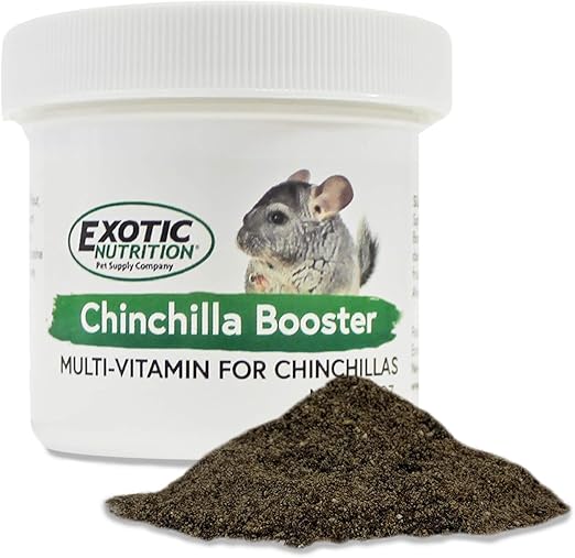 chinchilla exotic